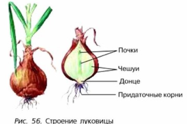 Кракен официальная kr2web in